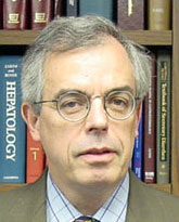 bermudez